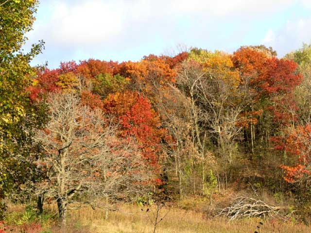 October 2005