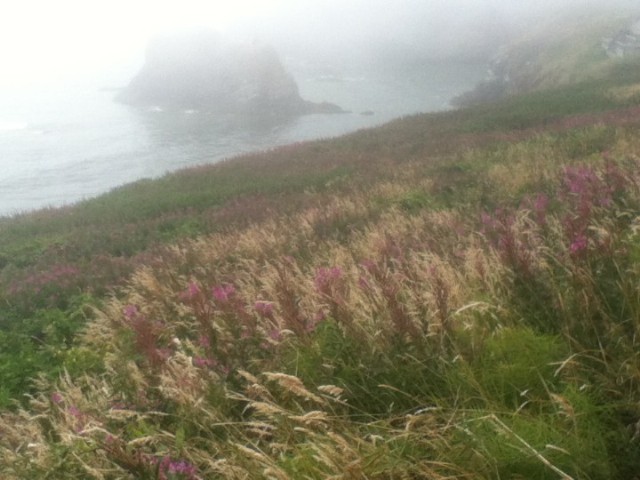 Yaquina Head